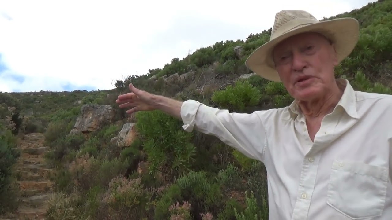 Search for ox wagon trail above Cape Town