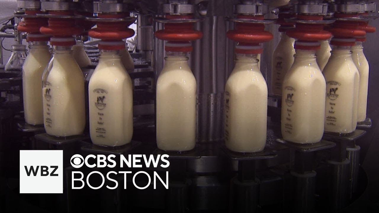 Sharon, Massachusetts dairy bar making eggnog the same way for nearly 100 years