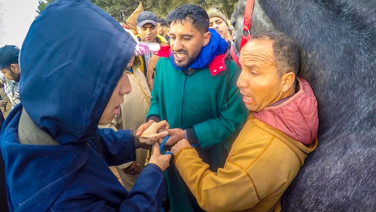 طيكطوك شرا جدع شبيه ولد صدام من العربي سايح كولشي كيجبد _ جدع مسخاش بالعربي محملش طيكطوك