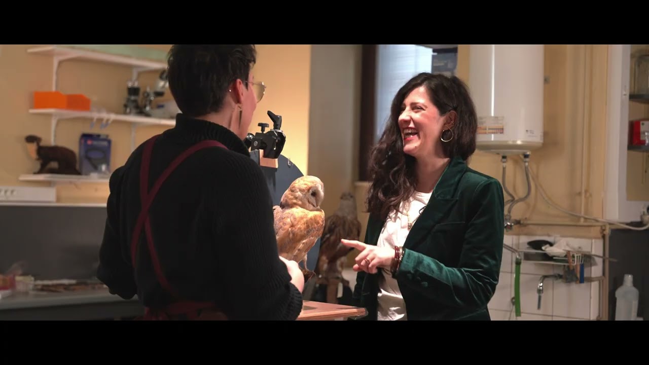 Une immersion unique dans les coulisses du Musée Zoologique  !