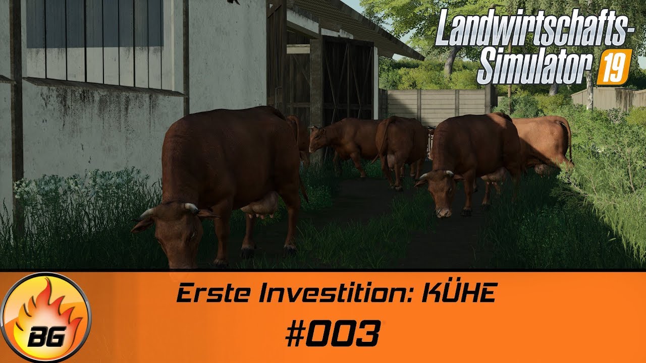 LS19 - Hof Bergmann #003 | Erste Investiton: KÜHE | FS19 | Let's Play [HD]
