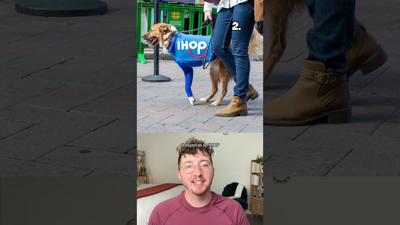Top 10 Dog Halloween Costumes!
