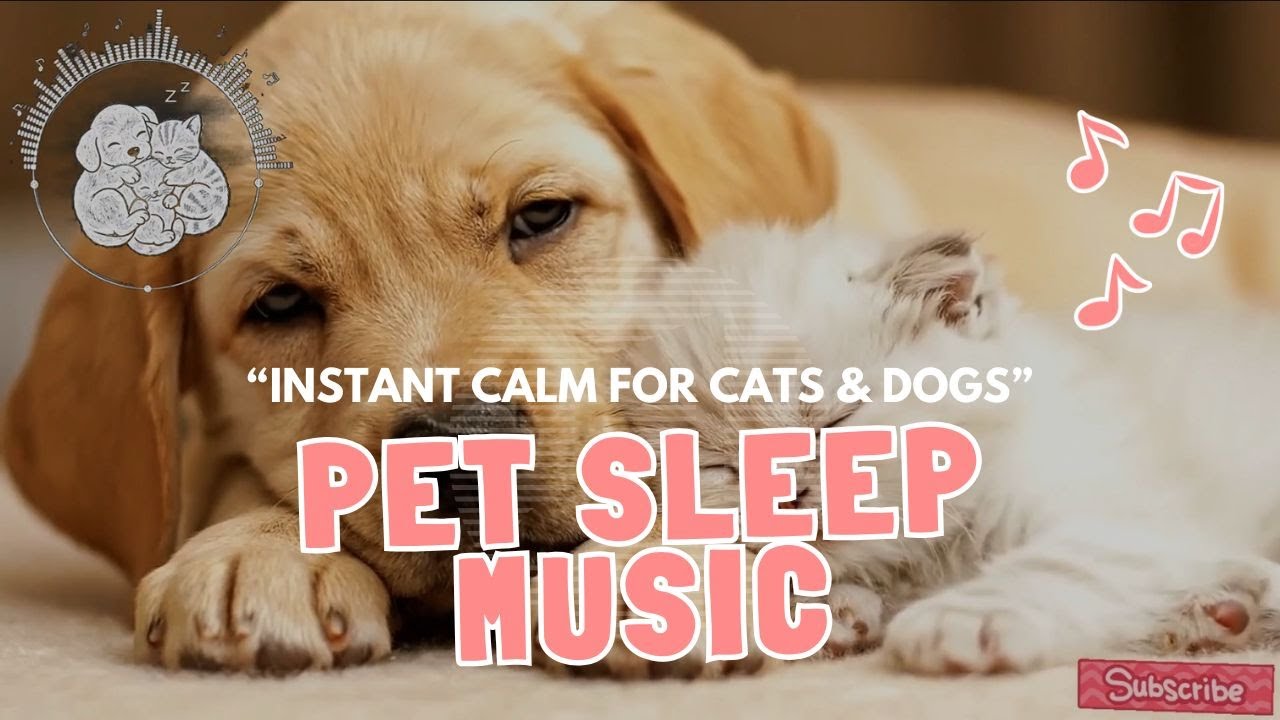 Cat Sleep Musid and Dog Sleep Music 🐱🐶 | Comforting Sounds Pets Trust When They Feel Anxious