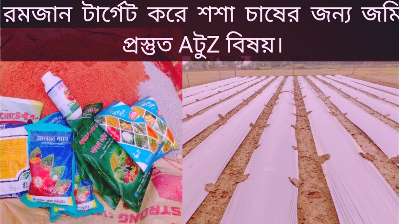 রমজান টার্গেট করে শশা চাষের জন্য জমি প্রস্তুত A টু Z বিষয়।