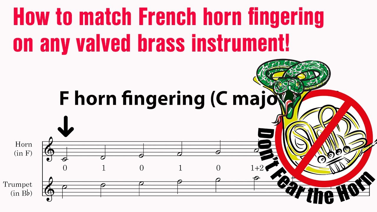 Horn in F and the harmonic series | Don't Fear the Horn: Chapter 4