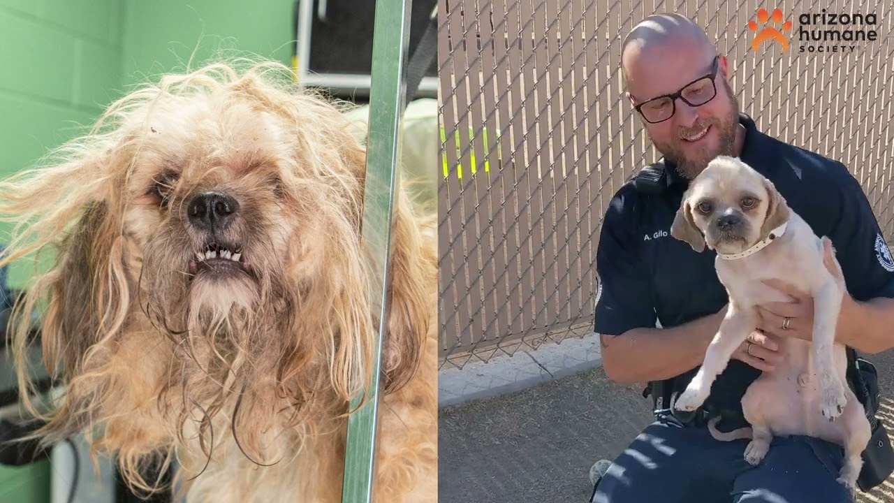 Billy's Journey