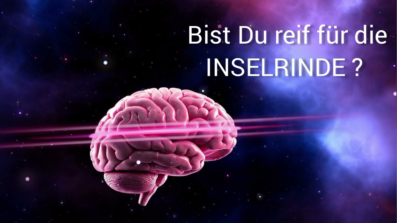 NeuSEHland Institut * Neuro Athletik Training * Die Inselrinde