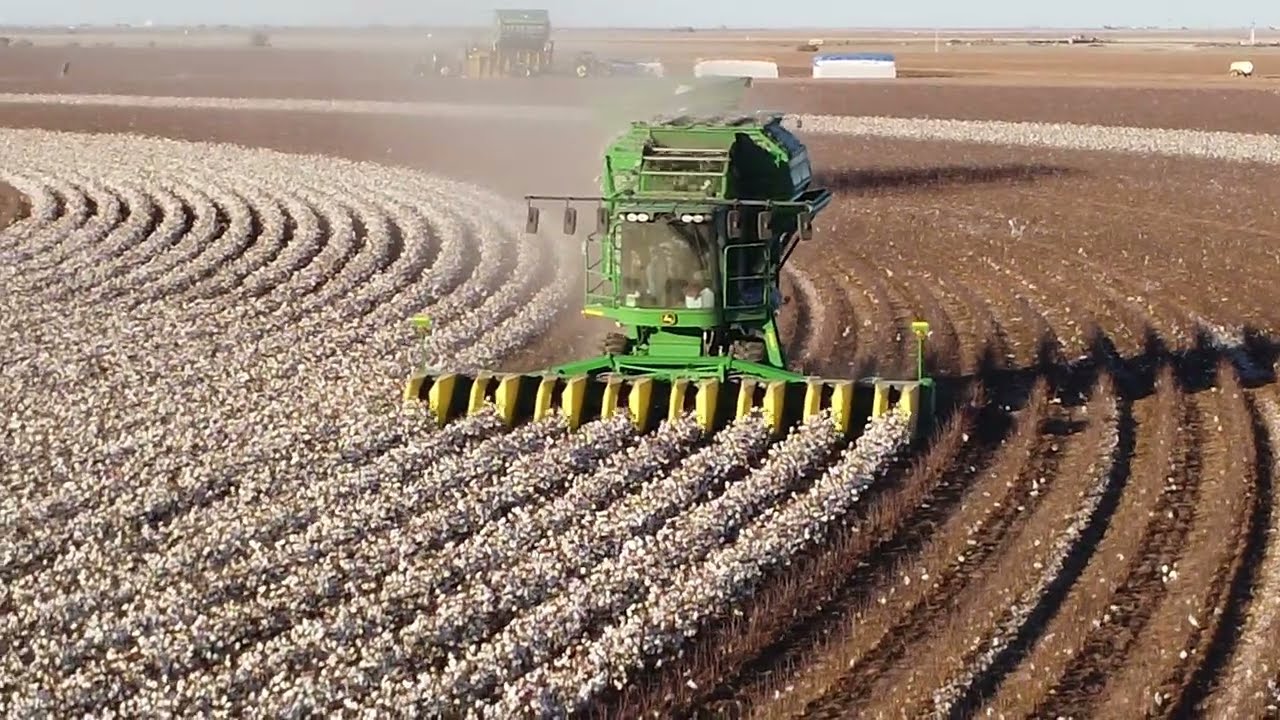 2023 Texas Cotton Harvest  in Cone, Texas, USA