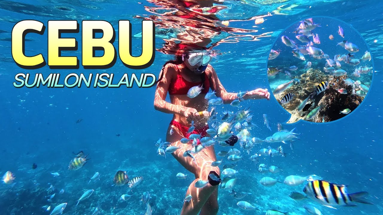 수밀론 아일랜드 데이유즈🏝️세부 3박5일 자유여행 ep.1 | Cebu SumilonIsland Travel Vlog
