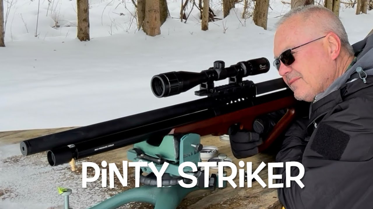 Pinty Striker 25 калибра, компоновка 