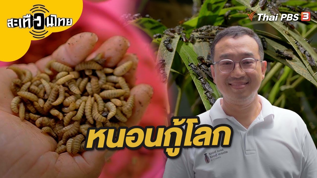 หนอนกู้โลก | สะเทือนไทย