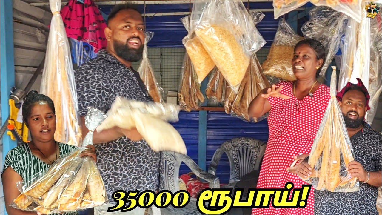 35000 ரூபாய் கருவாடு பருத்தித்துறையில்!😲 Jaffna Dry Fish Shop | Tamil Vlogs | Alasteen Rock