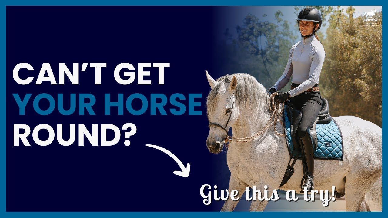 Stop Pulling! Three Steps to Get Your Horse Round