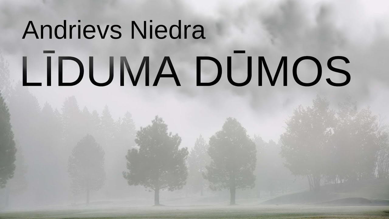 Andrievs Niedra. LĪDUMA DŪMOS. 2. nodaļa