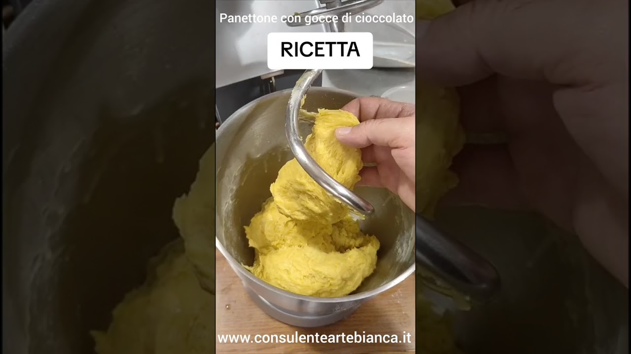 Ricetta Panettone lievito madre planetaria