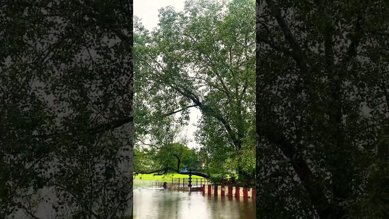 #rain #flood #travel #trending #kollam #kerala #reels #viralshorts #alert #news #meditation