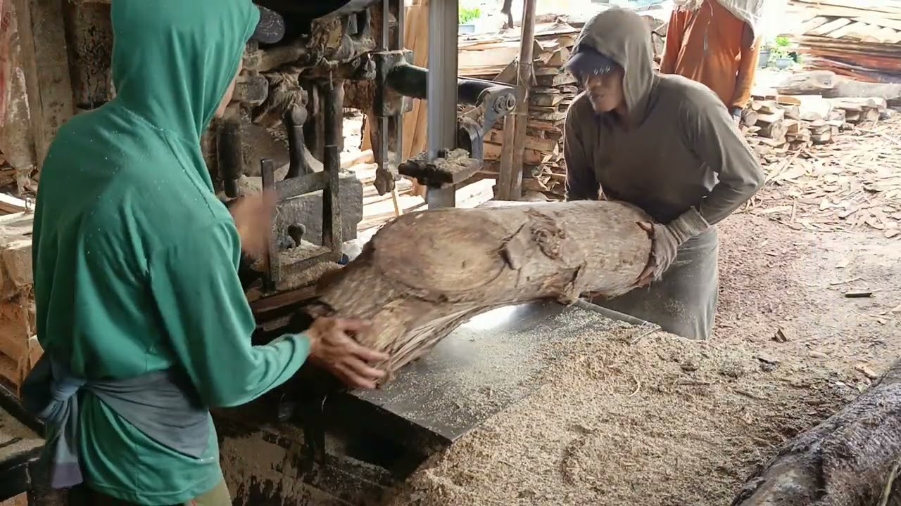 WADUH PARAH ABIS INI BENGKOKNYA SUKAR PROSESNYA