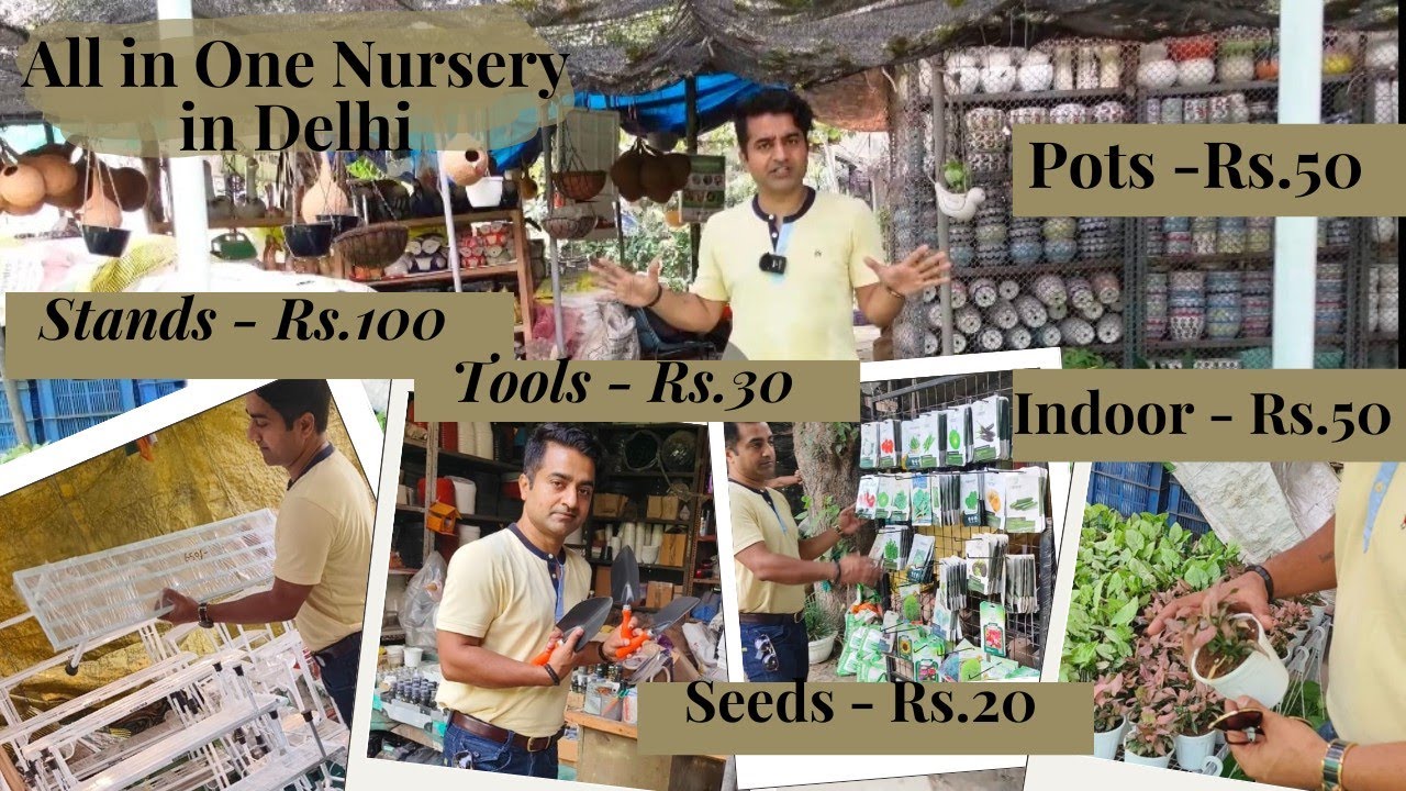 One Stop shop for Garden lovers | Plant Nursery Visit with Rates | Saini Plant Home