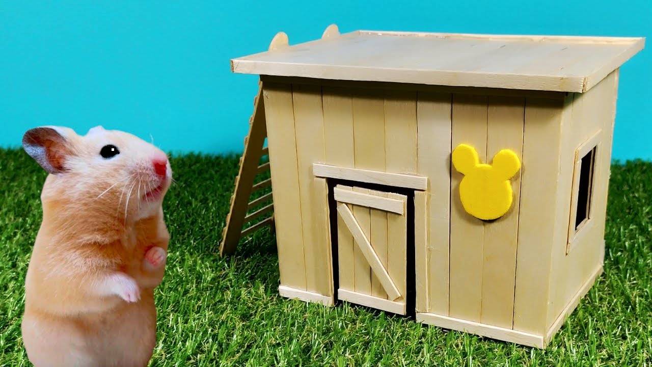 Cómo Hacer una Casa con Palitos de Helado para Hámster
