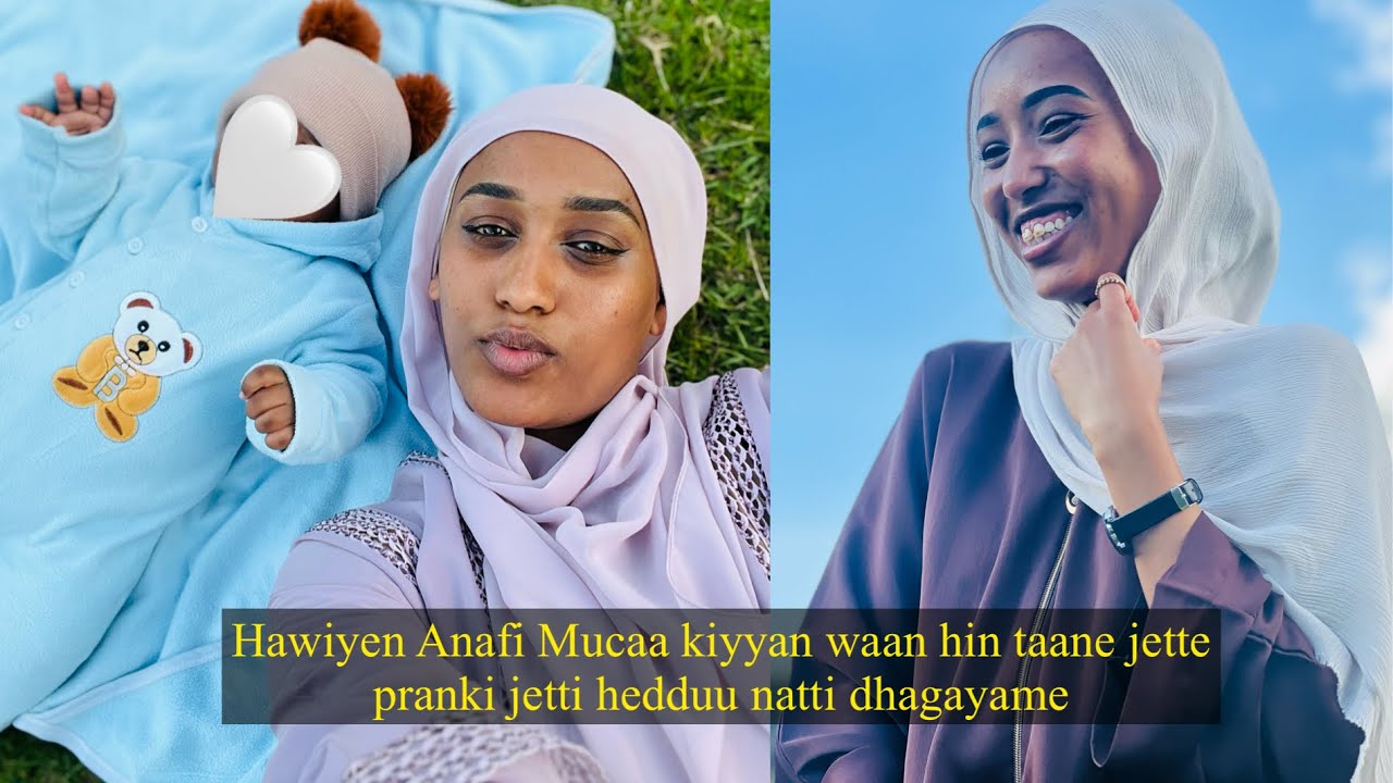 Kuni pranki ta’uu  hin danda’u yoomu dhiifama siif hin godhu Hawiye 
