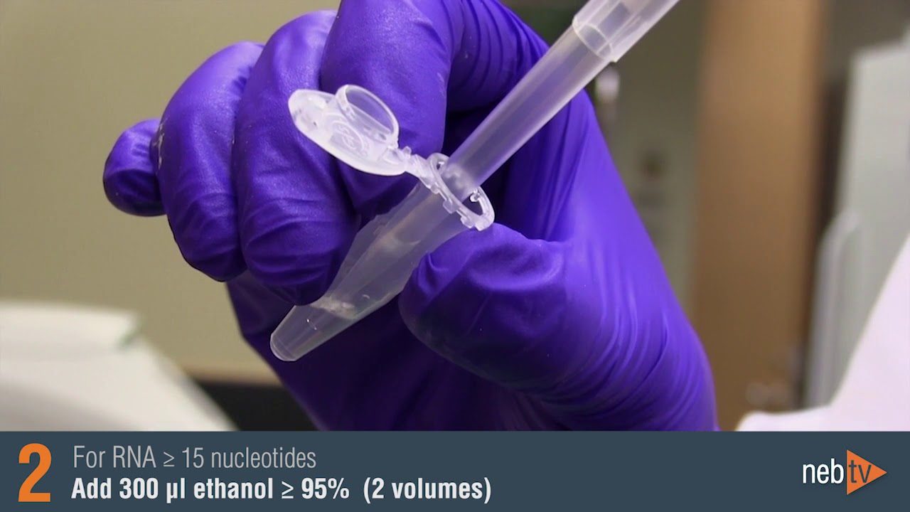 Monarch RNA Cleanup Protocol