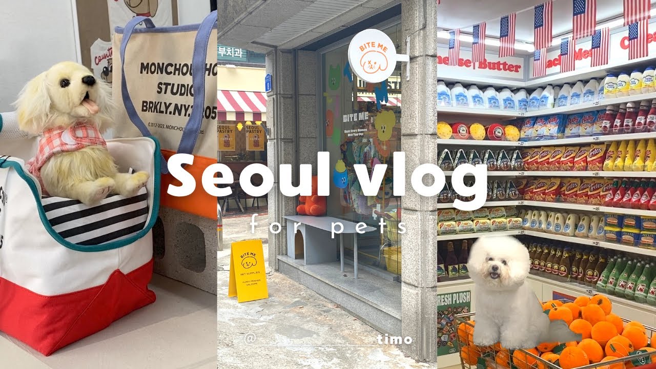 【韓国旅行】ソウルで人気の可愛すぎるペット用品店巡り🐶爆買い|プレゼント企画🎁と購入品紹介🛍️