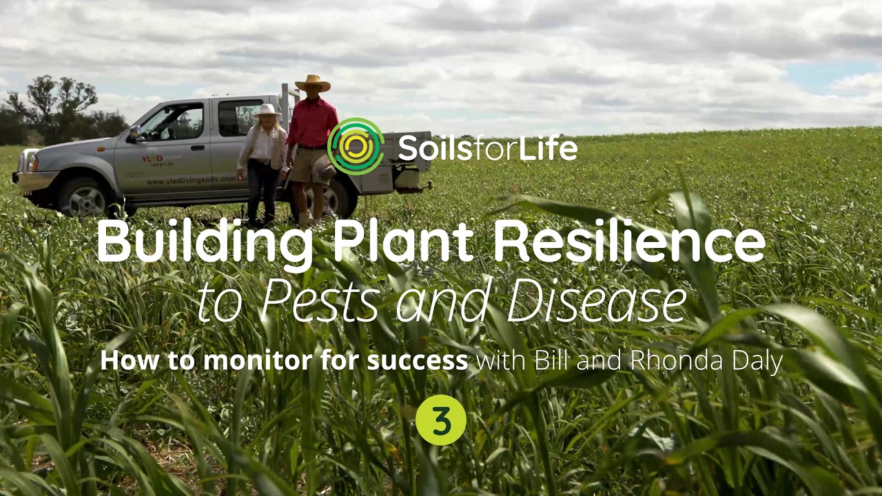 Building plant resilience to pest and disease 3: Insights