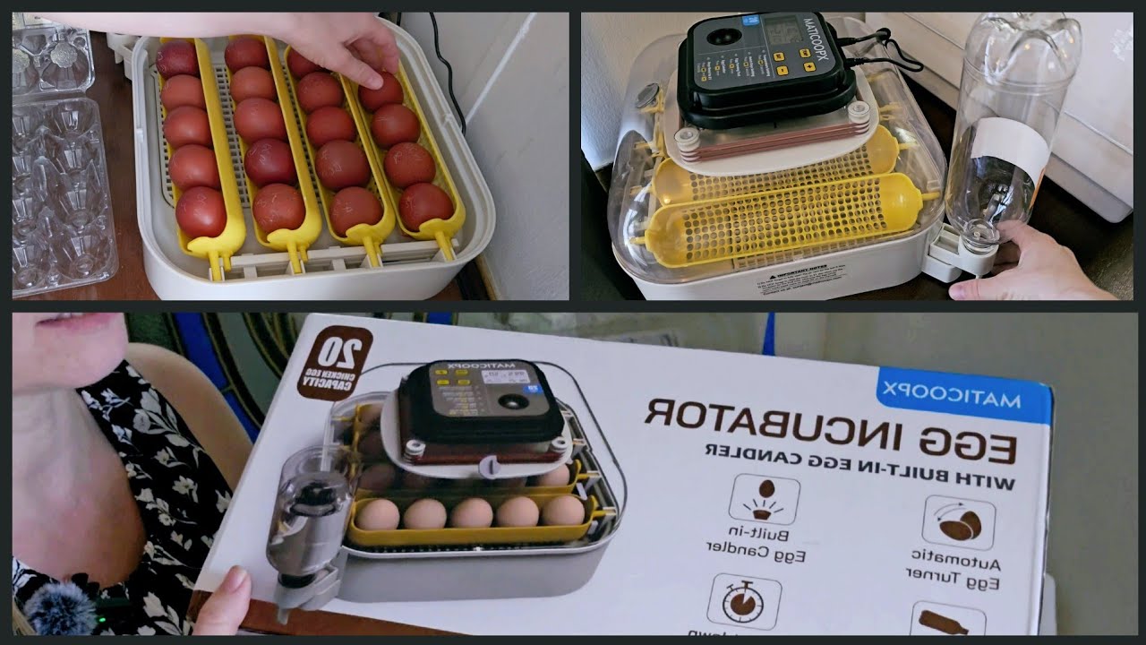 Распаковка и настройка инкубатора Maticoopx на 20 яиц | Выведение яиц тёмных маранов, часть 1
