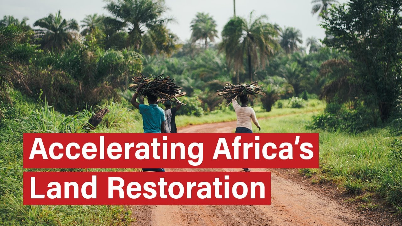 A New Phase for AFR100: Accelerating Africa&rsquo;s Land Restoration Movement