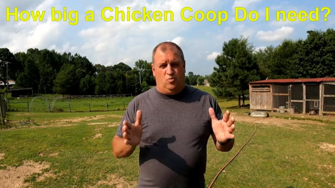 Chicken Coop Size Calculator - How big a chicken coop do you need?