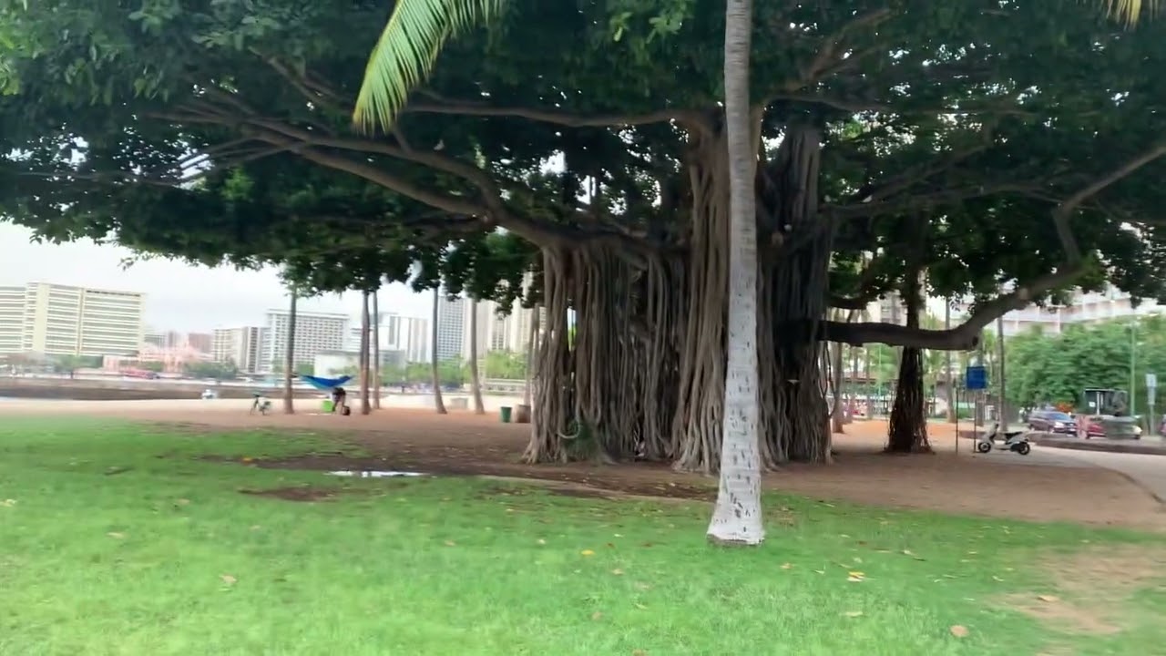 Honolulu, Hawaii corriendo al amanecer 🌅🏖🏃&zwj;♂️