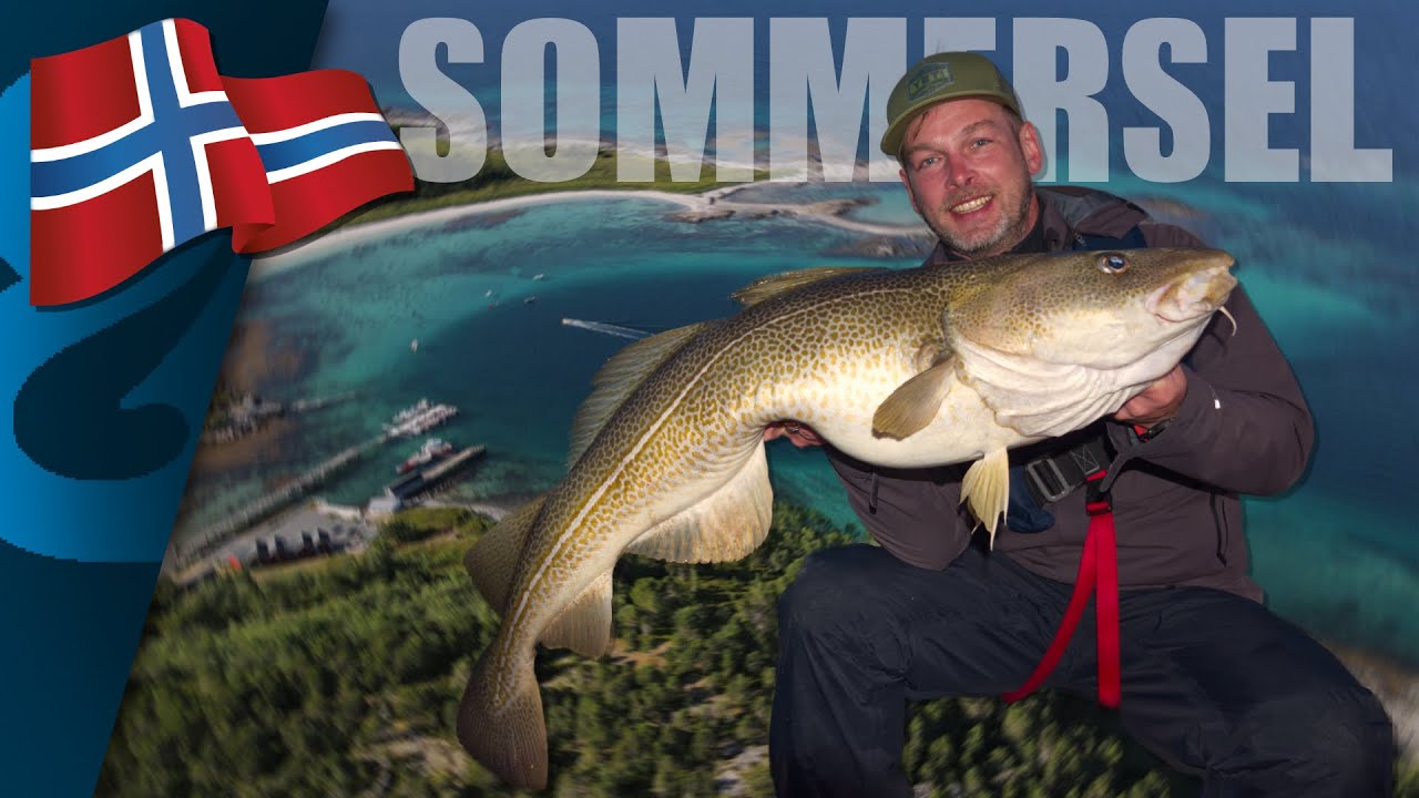 Dorsch- und Heilbutt Paradies Sommersel! 🇳🇴