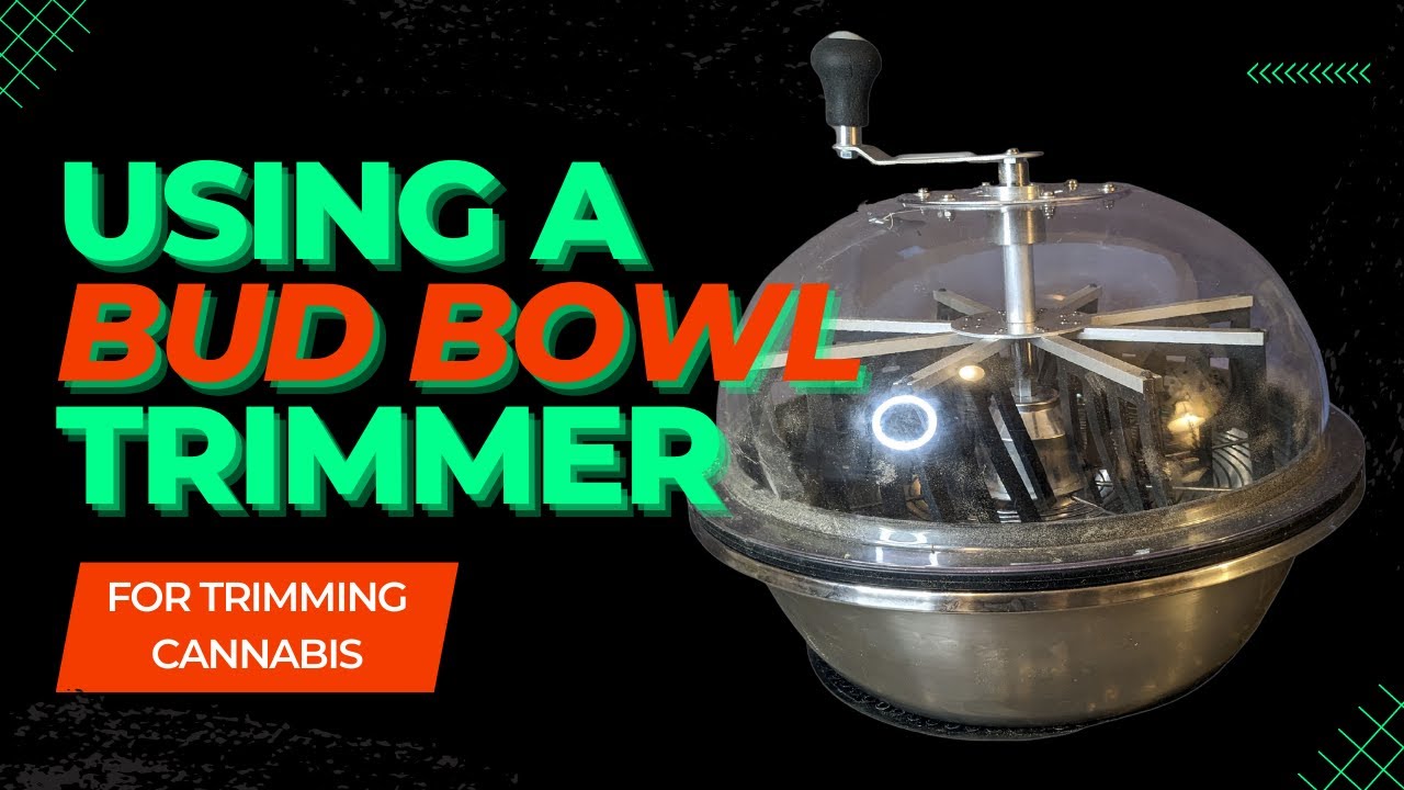 Как использовать триммер Bud Bowl для обрезки каннабиса