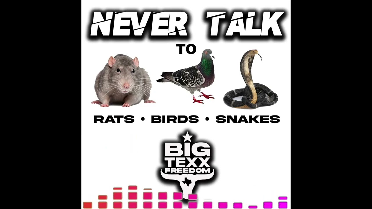 BIG TEXX FREEDOM - NEVER TALK