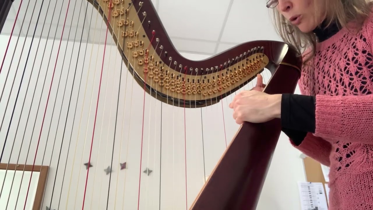 Tuto: changer une corde de harpe en boyau du registre medium grave (2/8 quelle corde commander?)