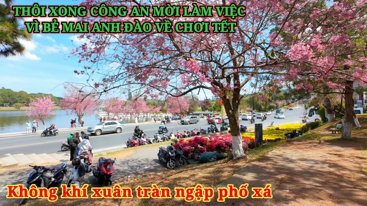 THÔI XONG CÔNG AN ĐÀ LẠT MỜI LÀM VIỆC VÌ BẺ MAI ANH ĐÀO VỀ CHƠI TẾT.