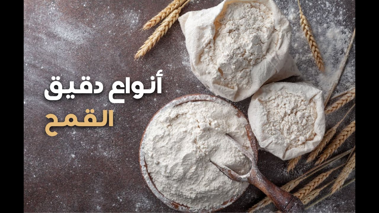 أنواع دقيق القمح واستخداماته وما علاقة جودة الخبز بالبروتين؟