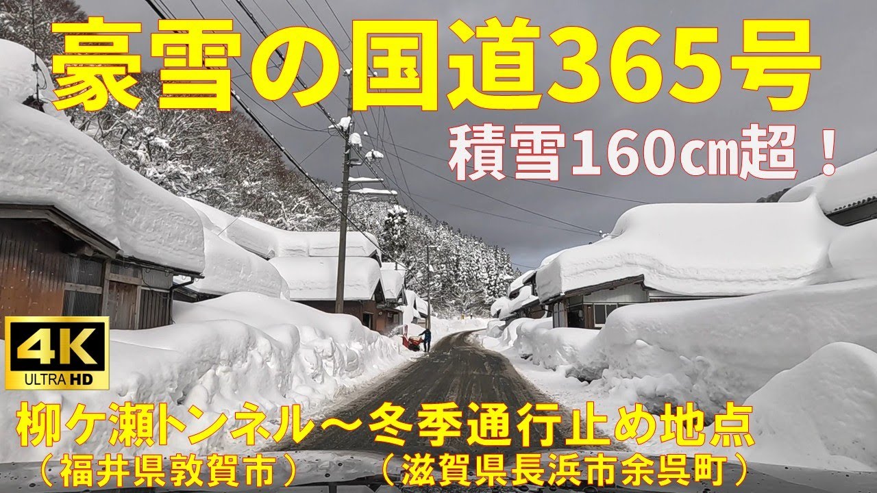 【大雪】豪雪の国道365号ドライブ　★積雪160ｃｍ超の銀世界　（敦賀市刀根～長浜市余呉町中河内）