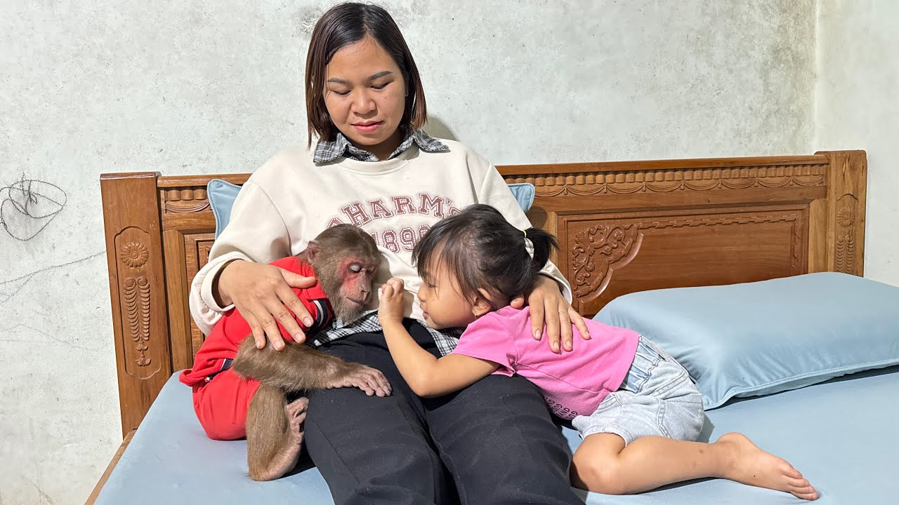 So Cute ! Smart Cutis picks Yen Nhi up from school when Mom goes to doctor