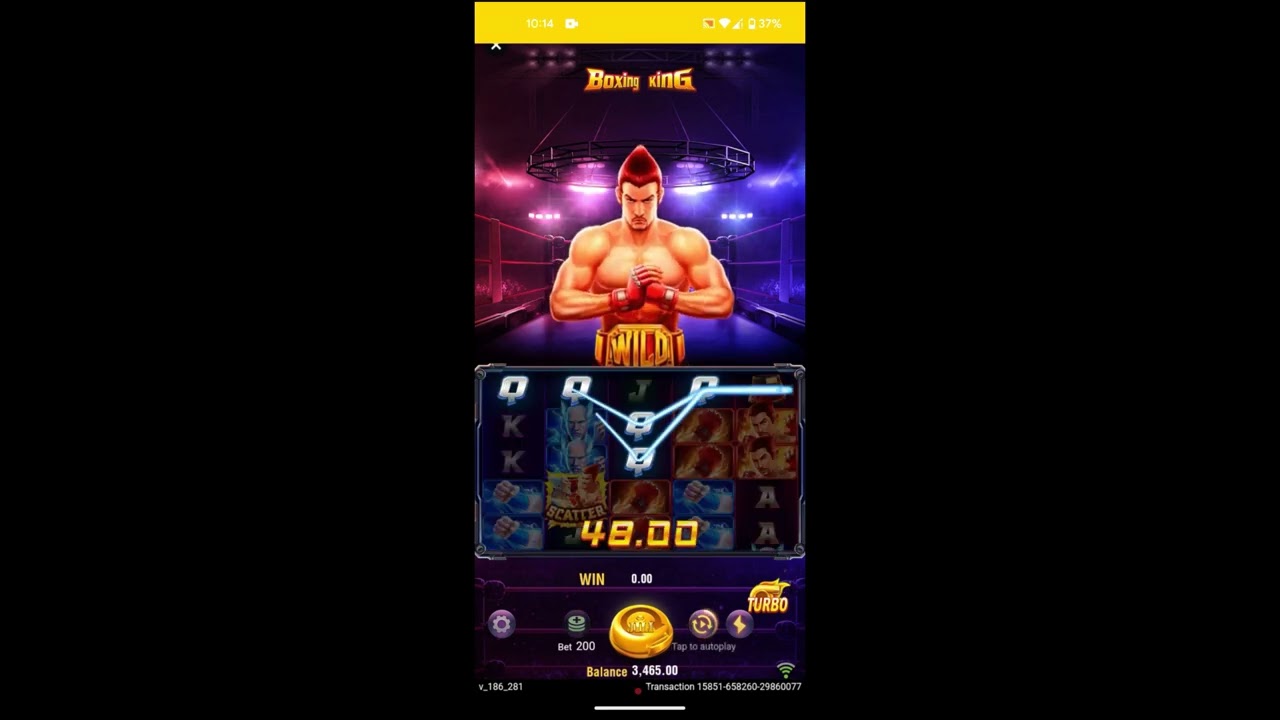 The ending was not good . boxing king jili game . Top winner game show.