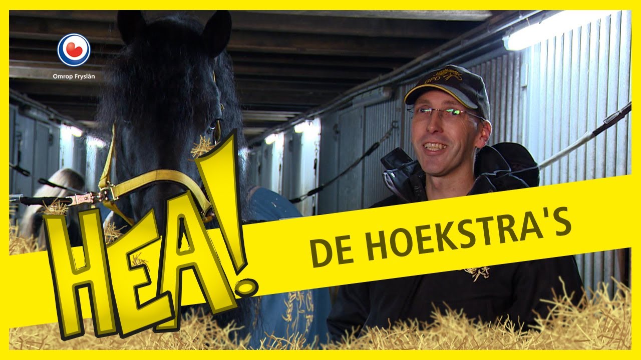 HEA! De Hoekstra's en Friese paarden