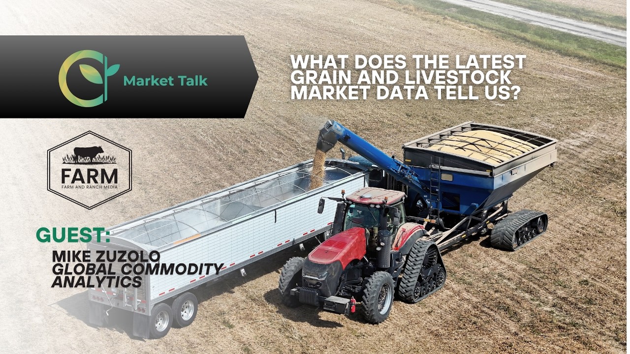 What Does the Latest Grain and Livestock Market Data Tell Us?