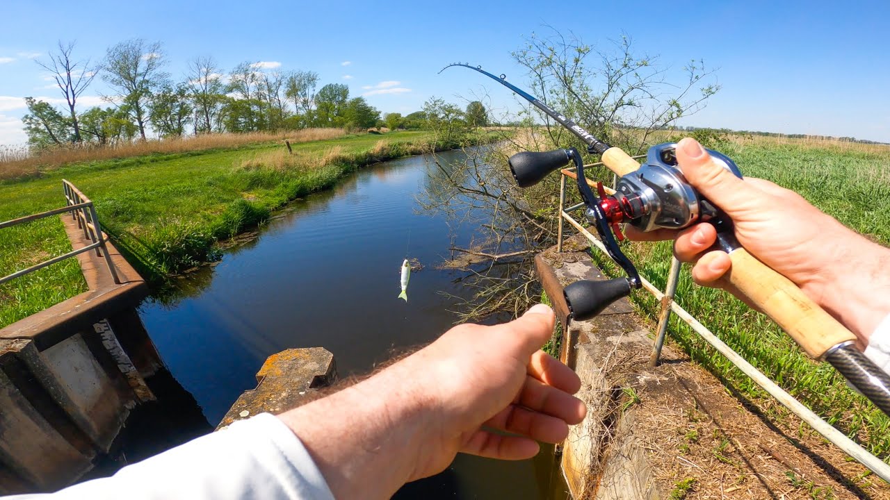 Swimbait Angeln im flachen Kanal auf Hechte