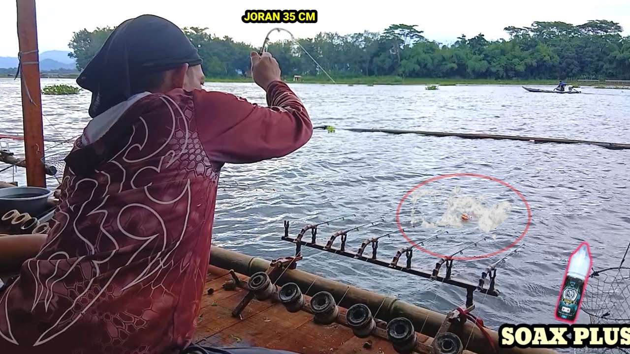 Dari dulu ikan di lapak ini gak ada habisnya dan ukurannya besar-besar! || SOAX PLUS DI RAKIT OMEN