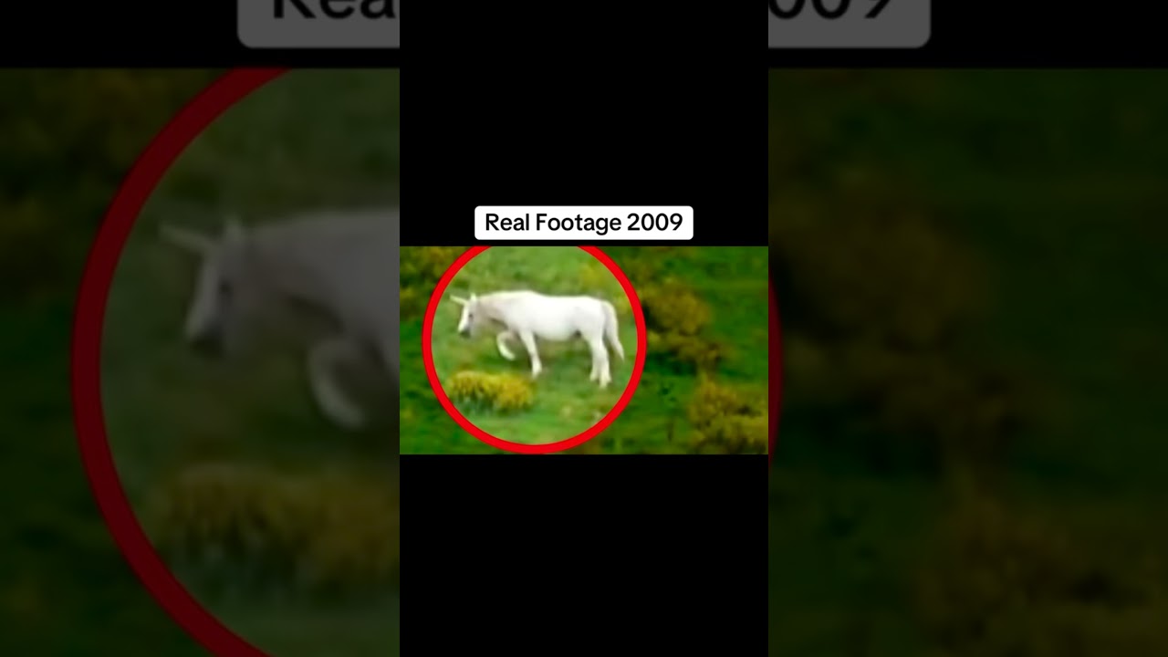 The mythical creatures real photos 😳 #fyp #viral #viralshorts #viralvideo
