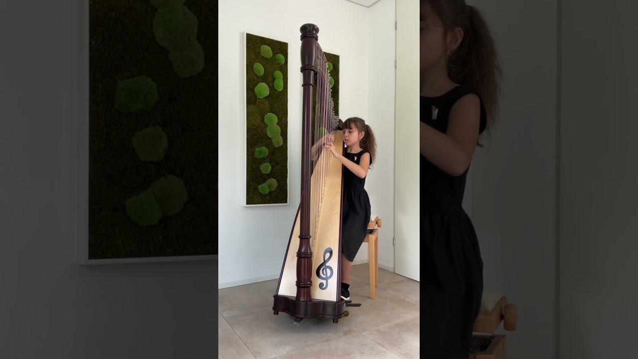 Sonatina, Jan Ladislav Dussek, Katharina Eichbauer, Harp