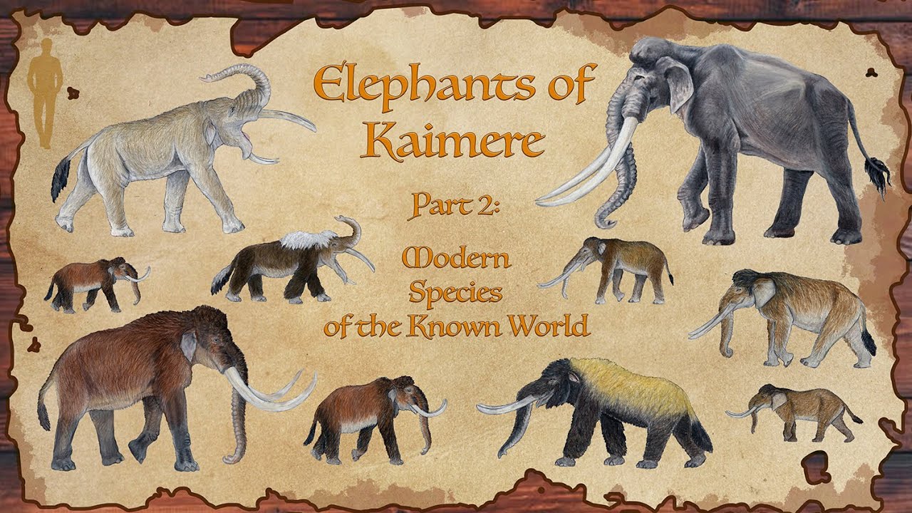 Elephants of Kaimere Part II: Modern Species of the Known World