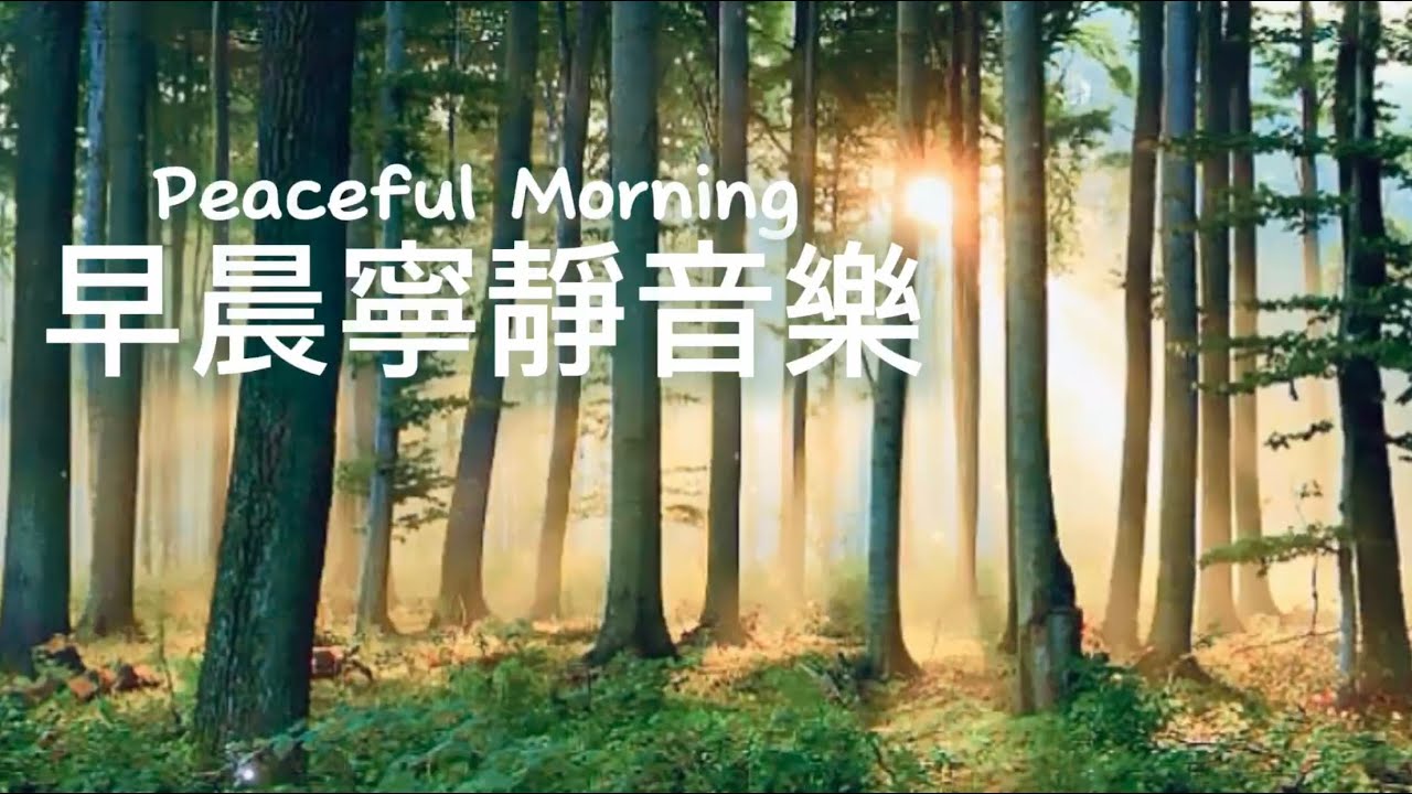 早晨寧靜音樂Peaceful Morning |  陽光灑落，晨霧繚繞，萬物在靜謐中甦醒，放鬆心情的輕音樂｜#輕音樂 #早晨音樂 #放鬆 #冥想 #睡眠 #softmusic  