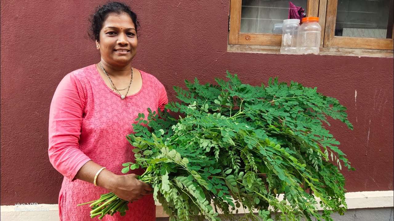 ನುಗ್ಗೆಸೊಪ್ಪಿನ ಸುಕ್ಕ ಪಲ್ಯ  Nugge soppina palya