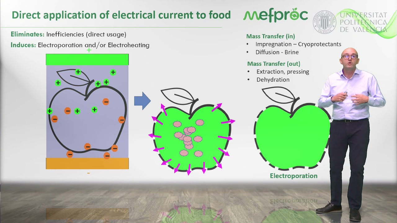 MEFPROC